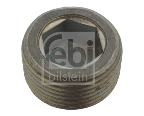 Screw Plug, oil sump